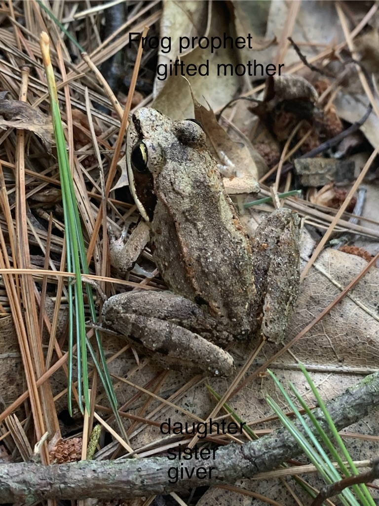 Frog Prophet: gifted mother